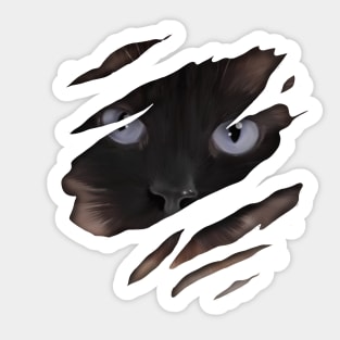 Cat tearing through, love Cats Sticker